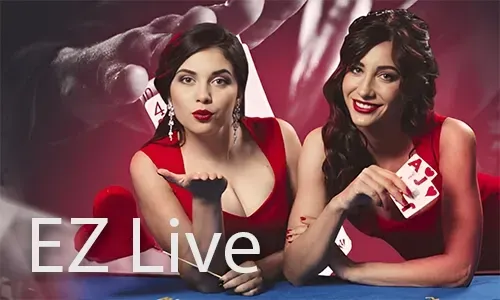 Live Dealer Experience